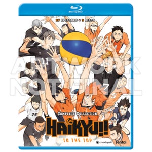 Haikyu!! To The Top: Complete Collection (US Import)