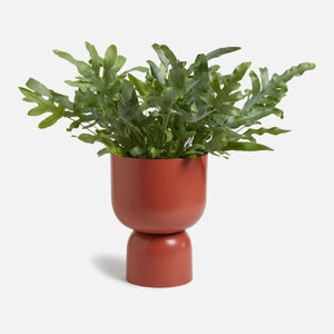 ïn home Clover Urn Vase - Terracotta