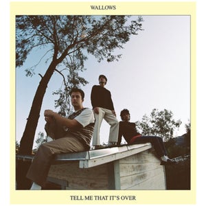 Wallows - Tell Me That It's Over Vinyl