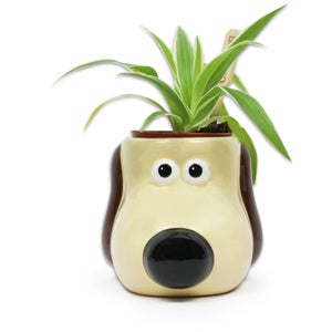 Wallace & Gromit Plant Pot - Gromit