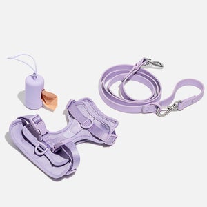 Wild One Dog Harness Walk Kit - Lilac