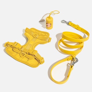 Wild One Dog Harness Walk Kit - Butter Yellow