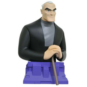 Batman Animated - DC Mini Bust: Bruce Wayne (Batman Beyond Version)