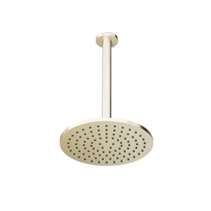 Brushed Nickel 250mm Round Shower Head with Ceiling Arm
