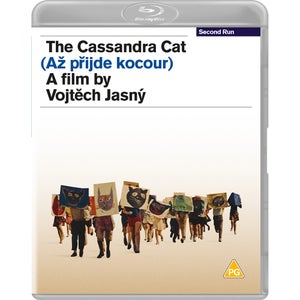 The Cassandra Cat Blu-ray