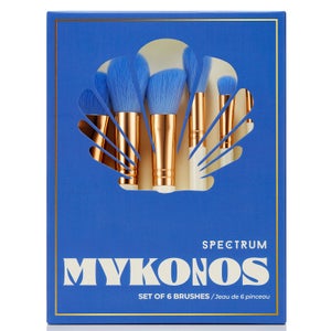 Spectrum Travel Books Mykonos 6 Piece Makeup Brush Set