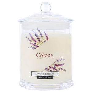Wax Lyrical Colony Large Candle Jar Lavender Fields 685g