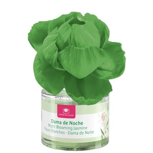 Cristalinas Flower Diffuser Night Blooming Jasmine Flower Diffuser 40ml