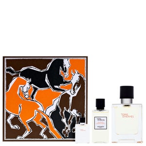 Hermès Terre d’Hermès Eau de Toilette Spray 100ml Gift Set