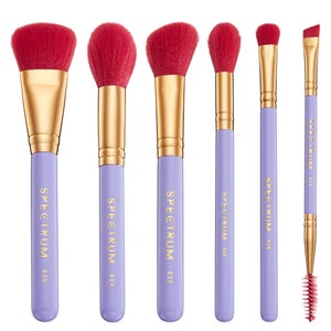 Spectrum Travel Books Los Angeles 6 Piece Makeup Brush Set