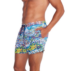 Speedo mens cheap board shorts