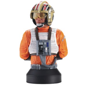 Gentle Giant - Star Wars A New Hope Red Leader 1/6 Scale Bust