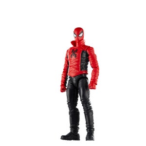 Hasbro Marvel Legends Series Last Stand Spider-Man, 6" Comics Collectible Action Figure