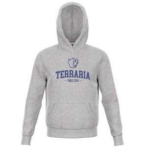Terraria Since 2011 Kids' Hoodie - Grey