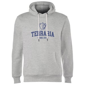 Terraria Since 2011 Hoodie - Grey