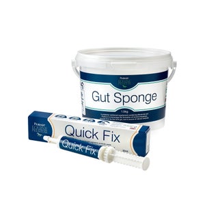 Gut Sponge + Quick Fix