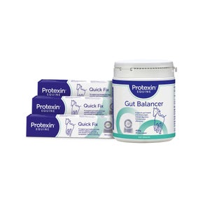 Gut Balancer 400g + Quick Fix Trio