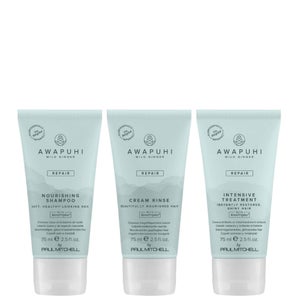 Paul Mitchell Gifts & Sets Awapuhi Wild Ginger Nourishing Travel Kit