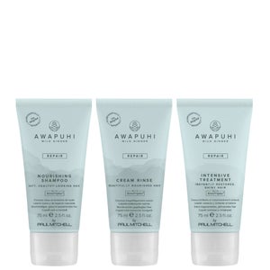Paul Mitchell Gifts & Sets Awapuhi Wild Ginger Nourishing Travel Kit