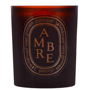 Diptyque Ambre Scented Candle 300g