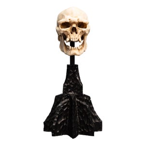 Weta Workshop Lord of the Rings Mini Statue Skull of a Mordor Orc 14cm