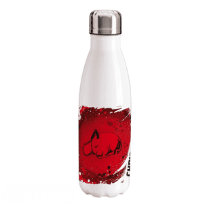 Chainsaw Man Pochita 500ml Canteen Stainless Steel Bottle