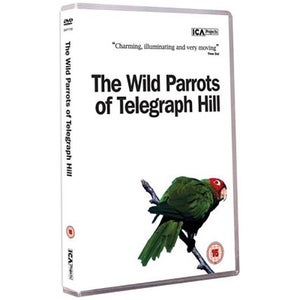 The Wild Parrots Of Telegraph Hill