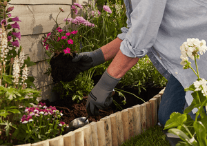 5 Best Peat-Free Composts