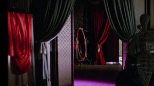 Fashion Victims: Fashion and Horror Film