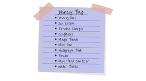 The Disney Park Bag Essentials