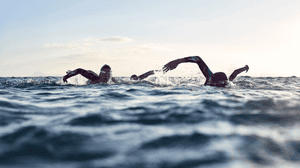 Freestyle Kick Technique For Open Water Swimming