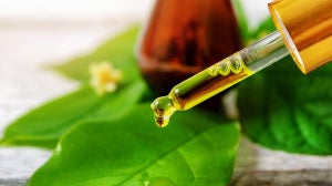The Uses of Tea Tree Oil for your Skin