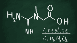 Beginners’ Guide To Creatine