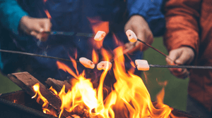 6 Campfire Essentials You Need