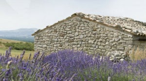 The History of L’Occitane (Video) & How To Pronounce The Name!
