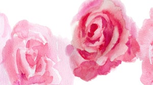 Roses In Beauty… Skincare, Fragrance & Love!