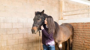 Diarrhoea in Horses Guide: Potential Causes and How to Treat It