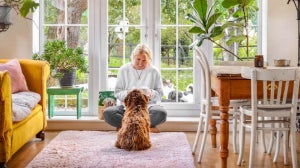 Dürfen Hunde Äpfel essen?