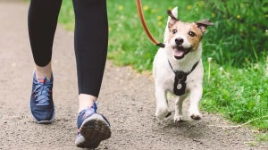Wie oft muss ein Hund raus?