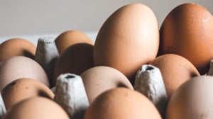 Δίαιτα αυγών: τι είναι;