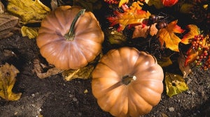 Pumpkin Spice Latte Recipe