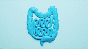 How To Have A Healthy Gut