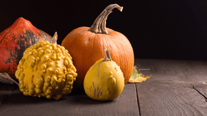 Ricette Con La Protagonista Dell’Autunno: La Zucca