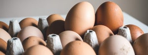 Ce este dieta cu ouă? – Myprotein Blog