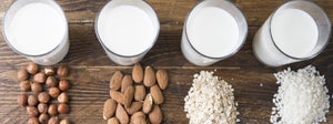 Die 8 besten pflanzlichen Milch-Alternativen