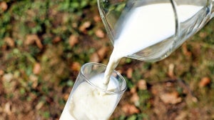¿Qué es la proteína de la leche?