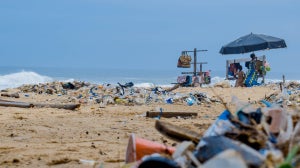 #NoFilter: Plastic-Free Beach Month