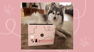 The PAW-some GLOSSYBOX x Glossy Pet Limited Edition! (Whoops, April Fools!)