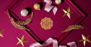 Story behind the box-  la Christmas Limited Edition GLOSSYBOX