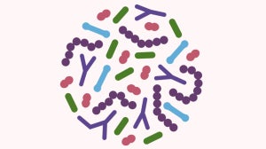 What Is the Skin Microbiome?